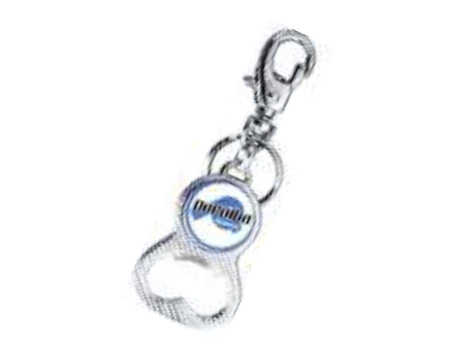 https://canaldosbrindes.com.br/products/uploads/_original/chaveiro-1191-643328.jpg