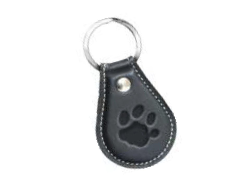 https://canaldosbrindes.com.br/products/uploads/_original/chaveiro-516-458141.jpg