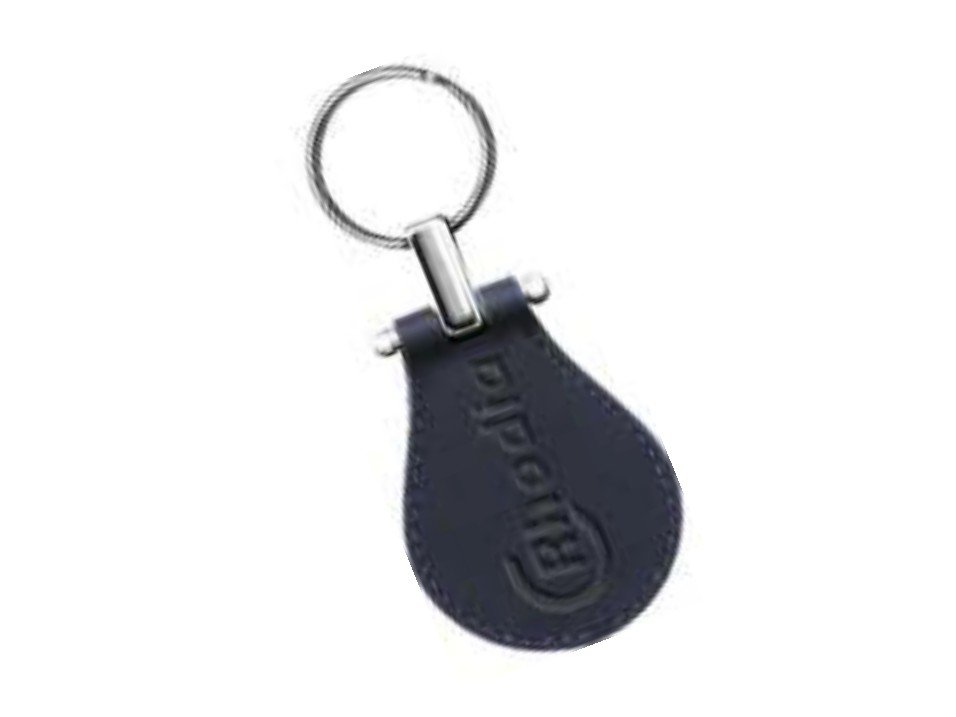 https://canaldosbrindes.com.br/products/uploads/_original/chaveiro-560-670968.jpg