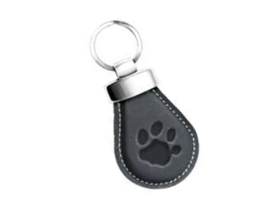 https://canaldosbrindes.com.br/products/uploads/_original/chaveiro-600-288402.jpg