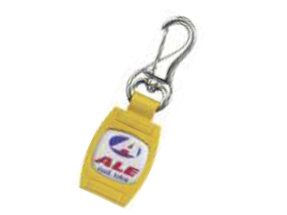 https://canaldosbrindes.com.br/products/uploads/_original/chaveiro-tokio-385546.jpg